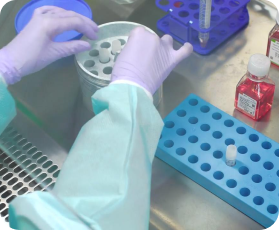 Liquid Nitrogen Storage